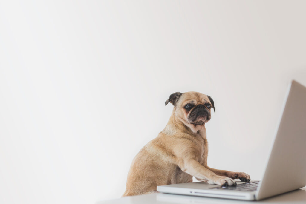 pug-windows